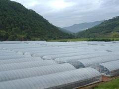 什么地方有卖新消雾膜 辽宁消雾膜